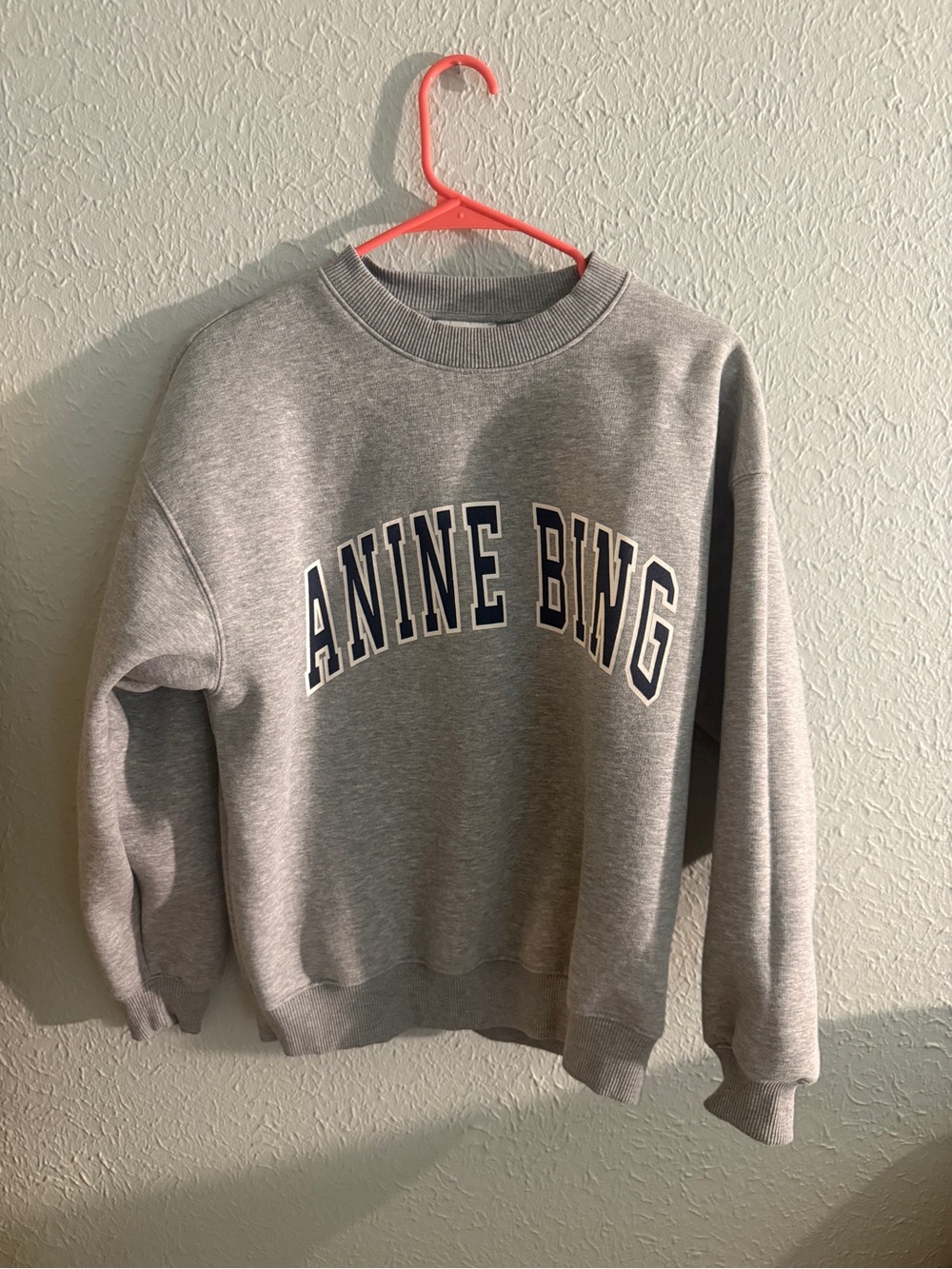 Anine Bing Light Gray Sweatshirt with White Label